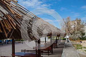 Wooden beach umbrellas in a row, with chairs and tables