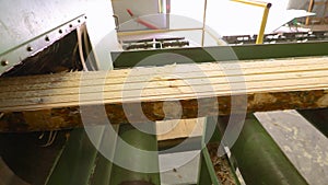 Wooden beam on conveyor, wood processing at a woodworking factory, industrial interior at a sawmill