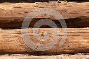 Wooden beams. Wood texture. Background