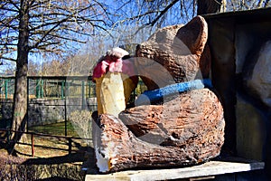 Wooden bear doll eating icecream in the park