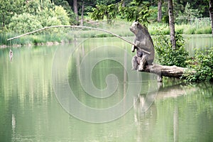 Wooden bear fishing by the lake