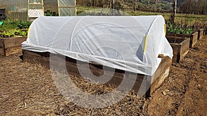 wooden bed for vegetable garden with a hobby polytunnel . Tunnel with thermal blanket for growing food in autumn and winter