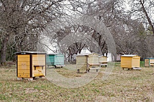 Wooden bee hives in a garden