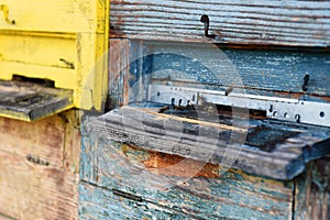 Wooden beehive closeup.