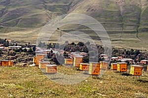 Wooden beehives sit in the sunshine on a hill above a mountain village in Georgia