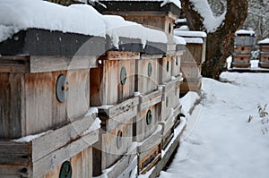 Wooden beehives in a snow shower. Snow falls on wooden beehives of domestic production. hidden bees, however, know nothing. Autumn