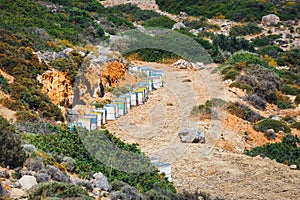 Wooden beehives in Crete Island