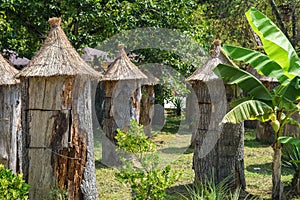 Wooden beehives with thatched roofs for honey production