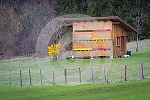 Wooden beehouse