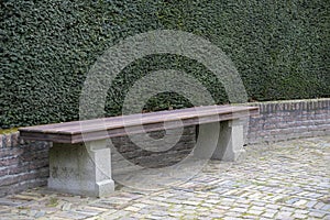 The wooden bench against a green vegetal wall photo