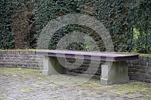 The wooden bench against a green vegetal wall photo