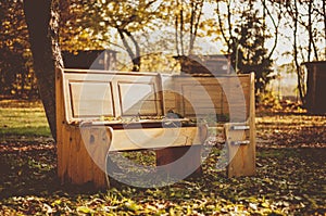 Wooden bench in autumn