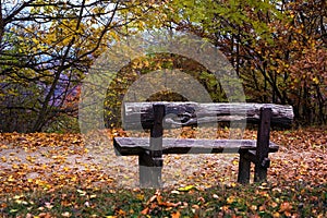 Wooden bench in an autumn forest