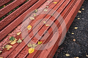 Wooden bench in autumn park after rain. Place of breath of townspeople