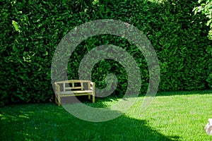 A wooden bench in a beautiful garden