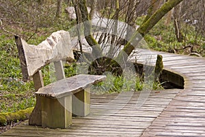 Wooden bench and boardwalk