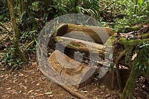 Wooden bench in Bosque Nuboso National Park near Santa Elena in Costa Rica