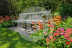 Wooden bench and bright blooming flowers