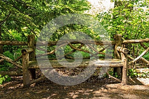 Wooden bench in central park in New York city on a warm sunny day