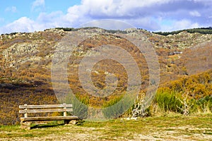 Wooden bench and chestnut trees in autumn in the mountain of Hervas, Extremadura photo