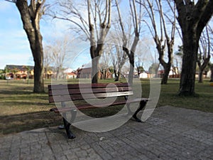 Wooden bench in a deserted square photo
