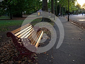 Wooden bench at dusk at Battersea Park in London.