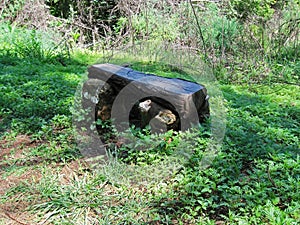 WOODEN BENCH FASHIONED FROM A SPLIT TREE TRUNK