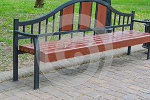 Wooden bench on a footpath in a city park