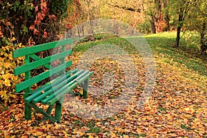 Wooden bench in forest on background of colorful autumn leaves.