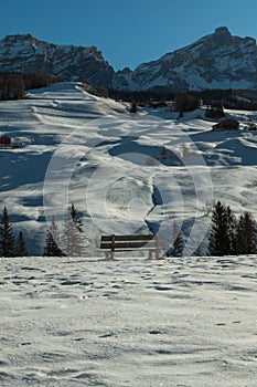 Wooden Bench Among Fresh Snow in Winter Sunny Day in Italian Dol