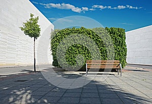 Wooden bench in front of hedge