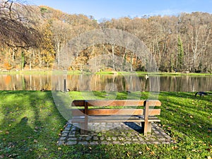 Wooden bench in front of a lake in landscape park