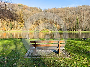 Wooden bench in front of a lake in landscape park photo