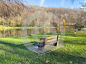 Wooden bench in front of a lake in landscape park photo