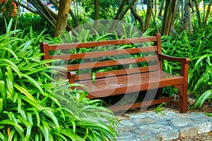 Wooden bench in a garden or park. Beautiful and serene environment to enjoy a peaceful and calm break on a sunny day