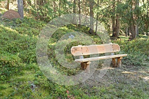 Wooden bench inside a forest, no people around
