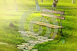 Wooden bench with iron forging pattern