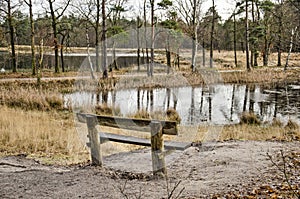 Wooden bench by a lake