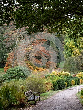 Wooden bench by the lake at Stourhead National Trust property near Warminster in Wiltshire UK. Photographed in autumn.