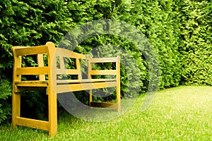 Wooden bench on a lawn in a green garden