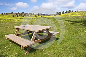 Wooden bench in the meadows