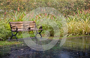 A wooden bench in the middle of beautiful blooming ornamental flower gardens of a natural public park in the Summer or Spring