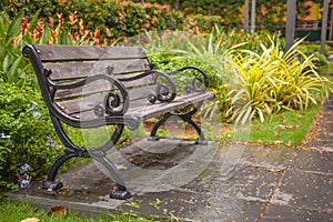 A wooden bench in the middle of beautiful blooming ornamental flower gardens of a natural public park in the Summer or Spring