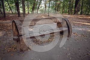 A wooden bench of original design in an autumn park