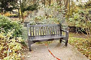 Wooden bench in a park