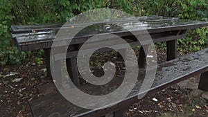 Wooden bench in a park