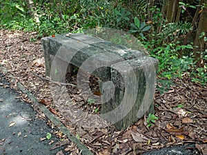 Wooden bench in the park,Behind a tall tree,Surrounded by dry leaves,At Sri Nakhon Khuean Khan Park and Botanical Garden in Bangko