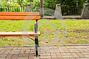 Wooden bench for resting in green park with grass