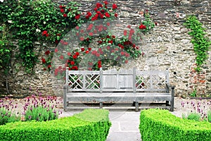 Wooden bench in the rose gardens of Lismore castle