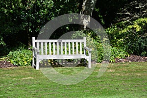 Wooden bench in Rosemoor Garden